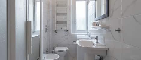Shower, hair dryer, bidet, towels