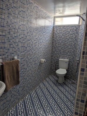 Séchoir à cheveux, serviettes fournies, savon, papier de toilette