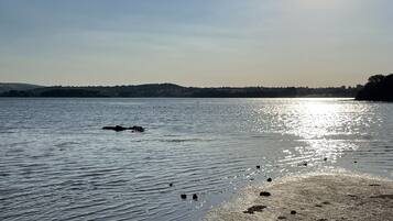 Cottage | Beach