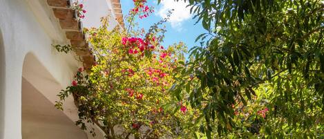 Áreas de la propiedad