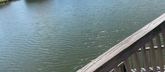 Egrets' Landing 2-bedroom 2-Bath Coastal Condo Minutes from Beach Entrance