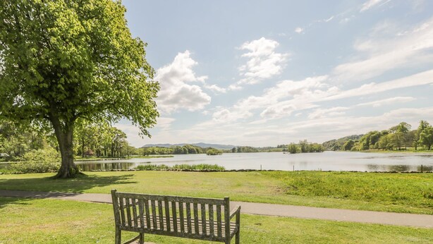 A park bench by a lake with a tree and grassy area. - King's Apartment (Castle Douglas)