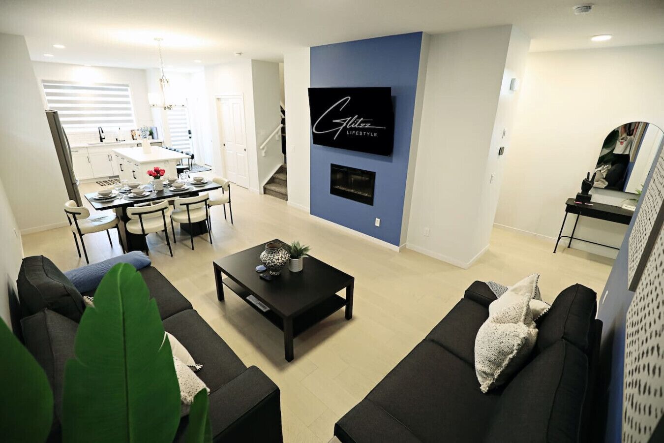 Smart TV, fireplace, books