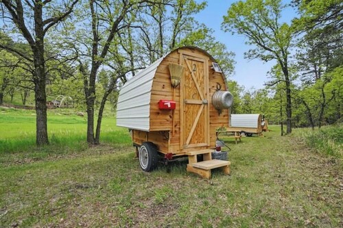 Shepherd's Wagon #4 Near Mt Rushmore