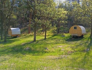 Property grounds - Shepherd's Wagon #2 by Mt Rushmore (Hermosa)