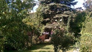 Een tuinpad omringd door weelderige begroeiing en bomen.