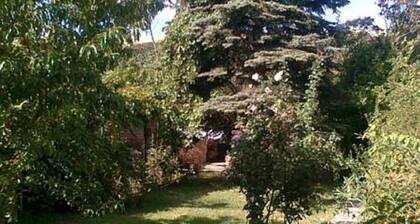 Flor Patagonia Hostel