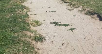 2 bedroom cottage, 1 side of a duplex, in Catawba. Sandy beach 500 ft away.