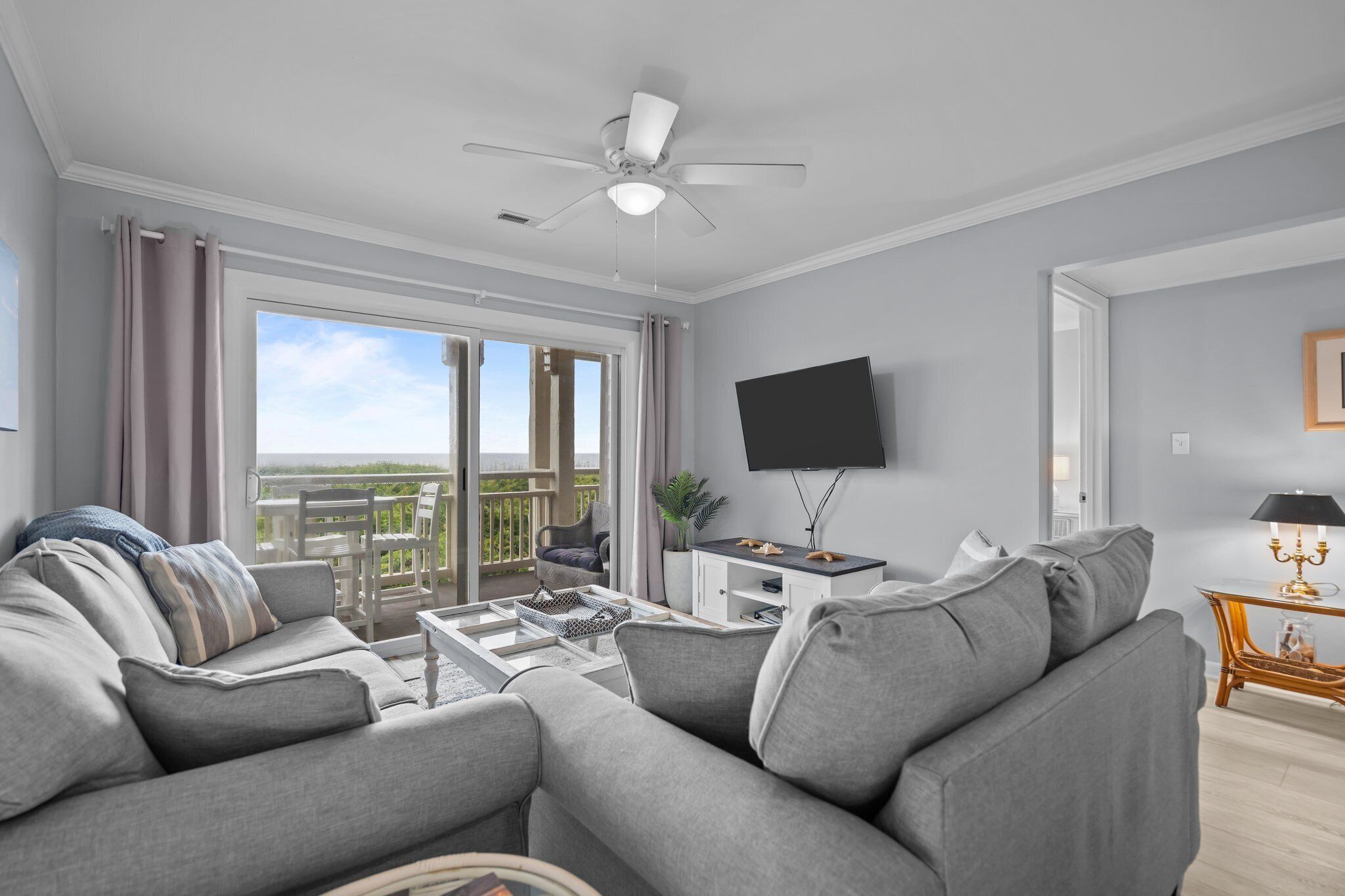 Smart TV, DVD player, books, video library