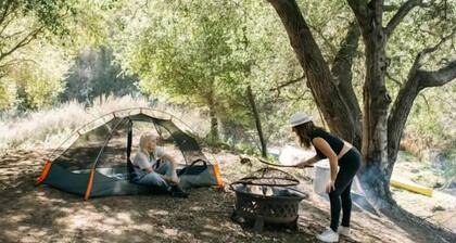 Escape to a peaceful lakeside retreat with fishing, kayaking, and camping!