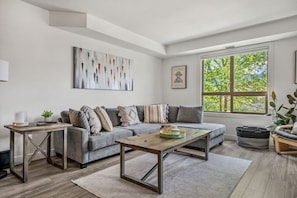 Smart TV, fireplace, stereo