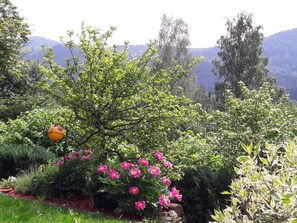 House | Property grounds