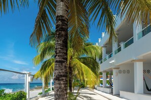 Property grounds - VILLAS MAR 2 Deluxe Oceanfront 1 brm Villa each in Cozumel at Villas Santa Pilar (Cozumel)