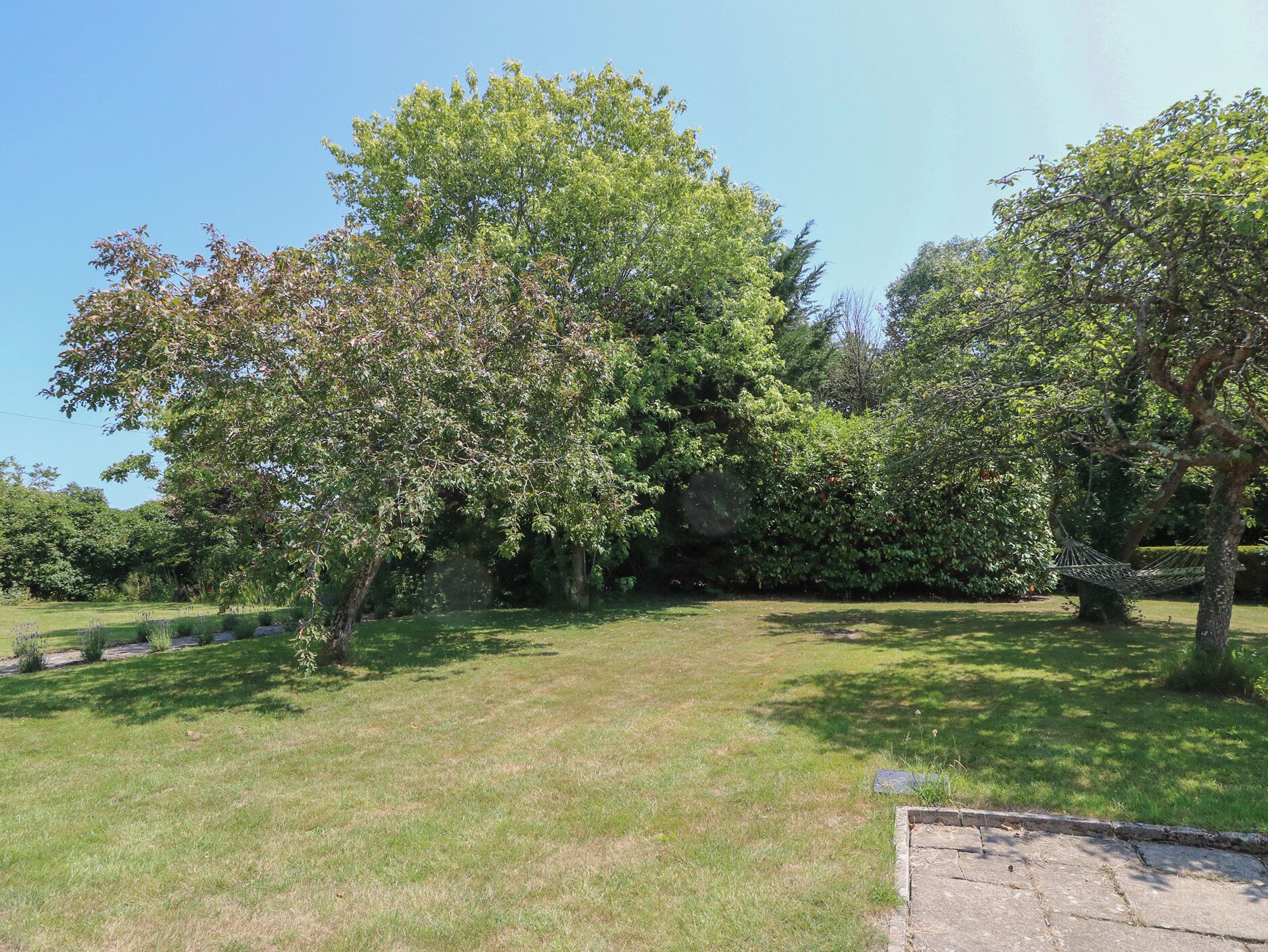 A grassy area with trees and a stone bench.