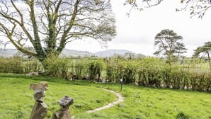Un chemin de pierres qui traverse une zone herbeuse, avec un arbre et un buisson au premier plan.