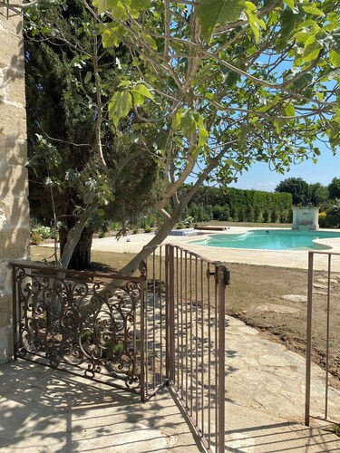 Le Mas in the shade of the plane trees