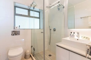 Shower, hair dryer, towels
