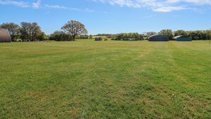 A grassy field with a large tree, barns, and a clear sky. - Robin (Woodbridge)