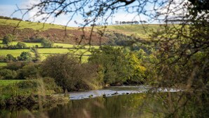 A river flowing through a valley with trees and hills in the background. - Bwthyn Bach Brefi (Tregaron)