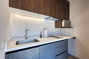 Luxury Apartment, Balcony, City View | Private kitchen | Fridge, microwave, oven, stovetop