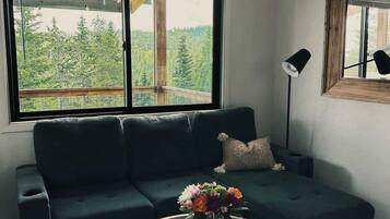 Televisión, chimenea y oficina