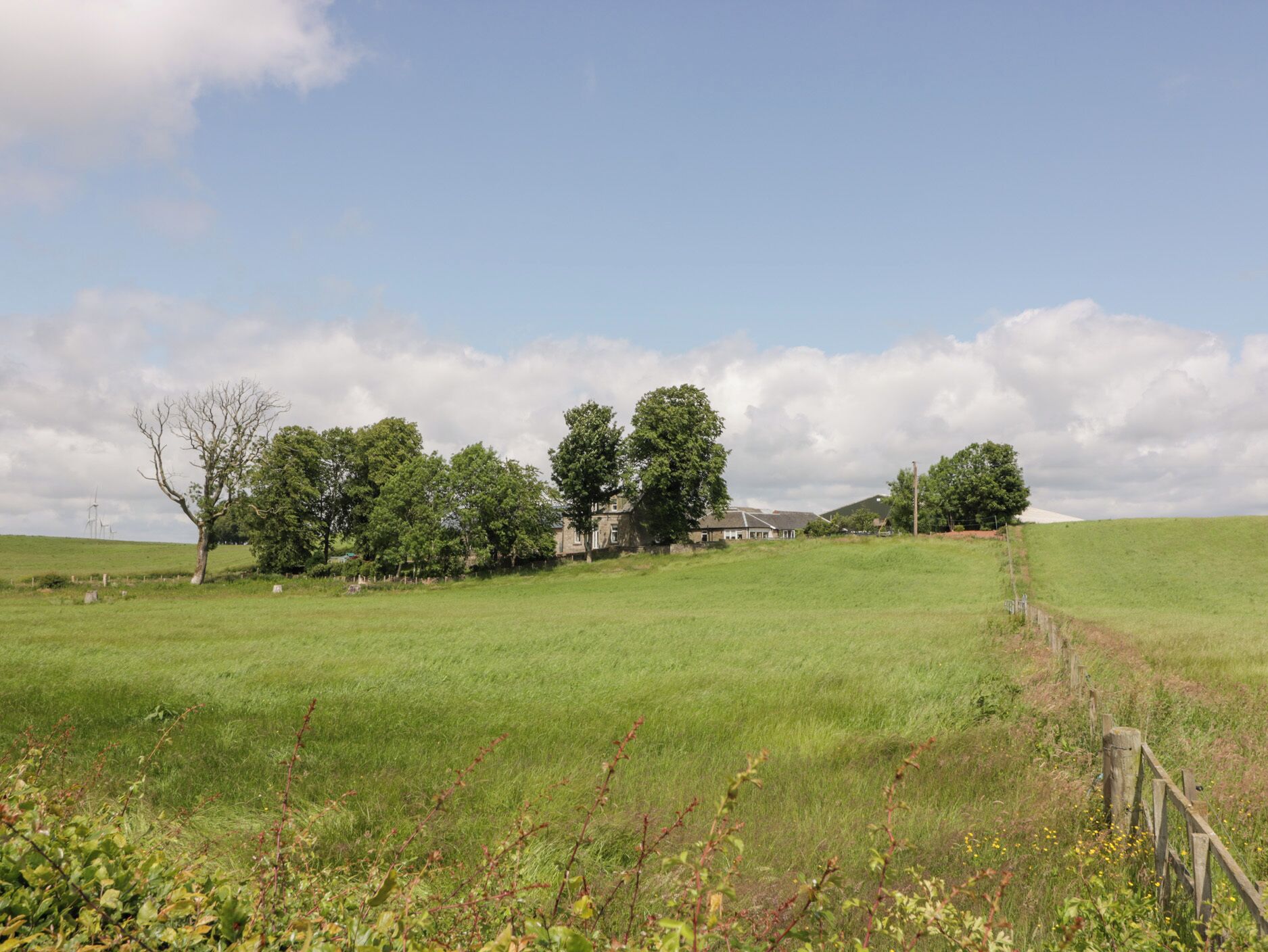 A rural landscape with a house surrounded by trees and open fields.