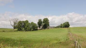 A rural landscape with a house surrounded by trees and open fields.