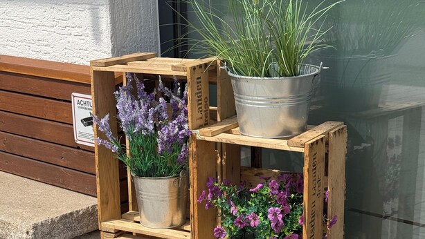 Una vitrina de madera con diferentes plantas en macetas.