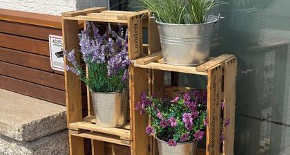 Arrive, breathe deeply, enjoy - relaxing time out between the Moselle and Eifel