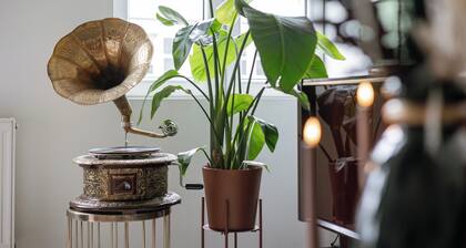 Unbeatable Location - Explore Ghent on Foot!