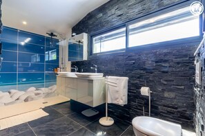 Shower, hair dryer, towels
