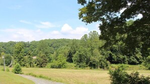 A rural road curving through a green landscape with trees and open fields. - The River View Cabin (Spruce Pine)