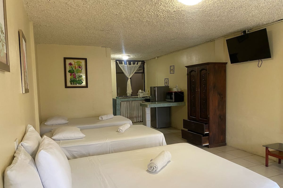 Une chambre d’hôtel avec deux lits, une kitchenette, une télévision et un placard.