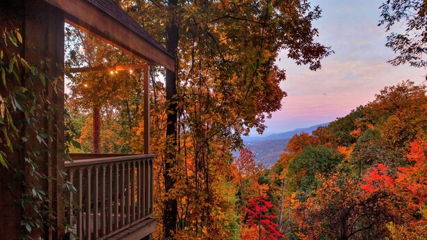 A wooden deck with a railing overlooking a forested area with autumn foliage.