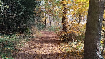 Apartment | View from property