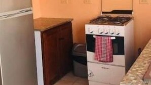 Cozinha compacta com geladeira, fogão e armários de madeira.