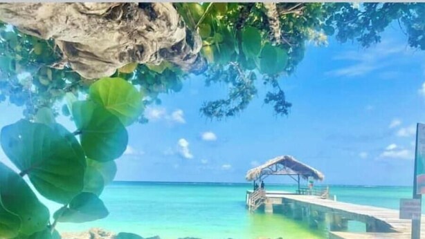 Uma praia com águas turquesa cristalinas, uma construção de palha e vegetação exuberante.