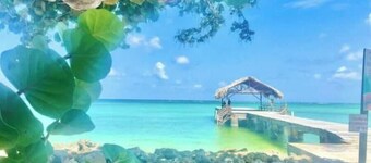 Crooks Apartment #2 lower