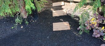 Forest Lane Escapes: Chic & Private Tiny Home Charm – Pet-Friendly & Central