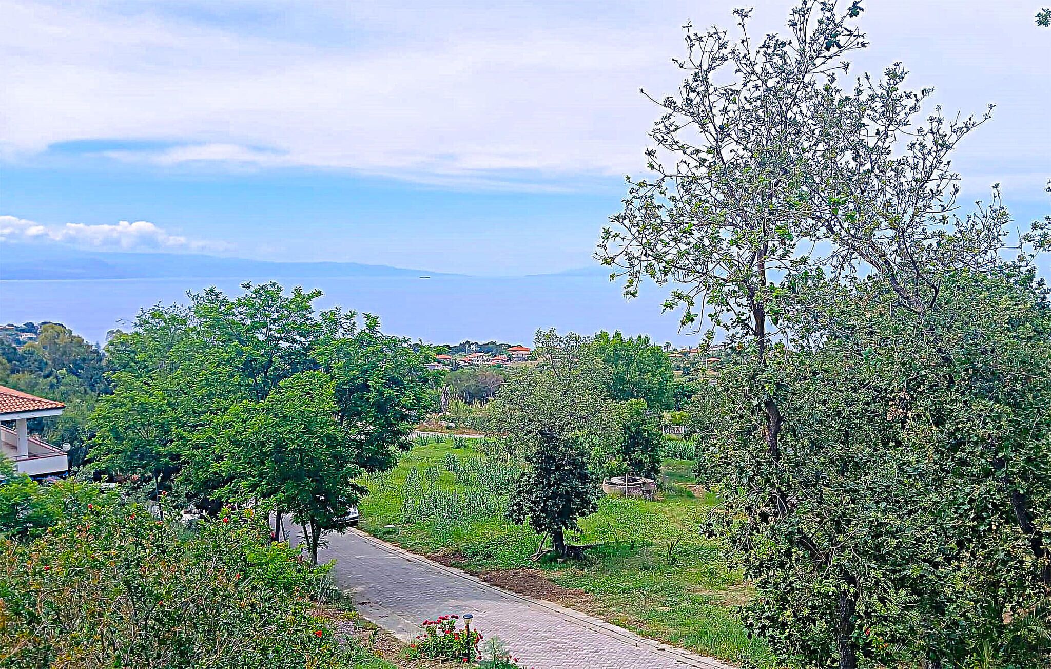 Um caminho pavimentado serpenteia por uma área verde exuberante, com árvores e vista para um corpo d'água ao longe.