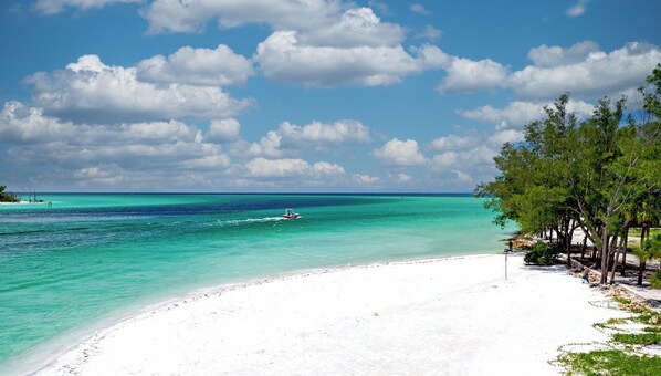 Beach nearby - Lido Key House- Ultimate Beach Escape, Steps from the beach & St. Armand's (Sarasota)