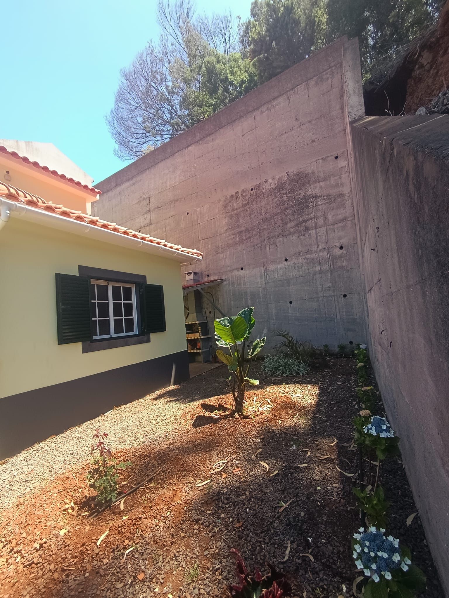 Ein Wohngebiet mit einem Haus, einer Betonmauer und einem Garten mit Pflanzen und Mulch.