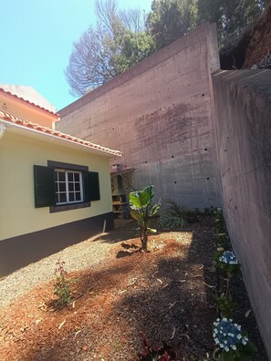 A residential area with a house, a concrete wall, and a garden with plants and mulch. - Dotty's House (Santa cruz)