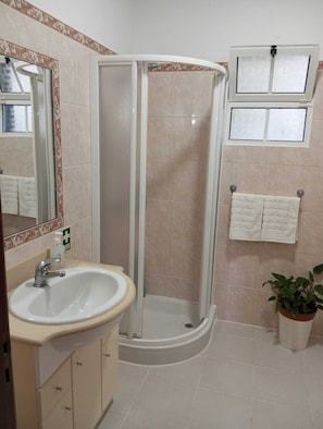 Shower, bidet, towels, shampoo