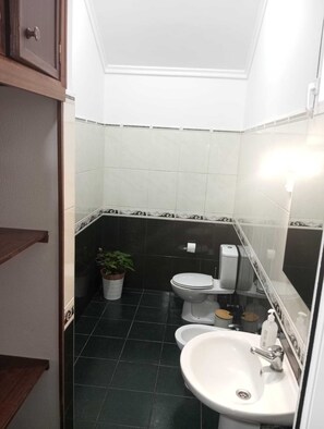 シャワー、ビデ、タオル、シャンプー