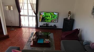 Un soggiorno con divano, televisione, camino e finestra con tende.