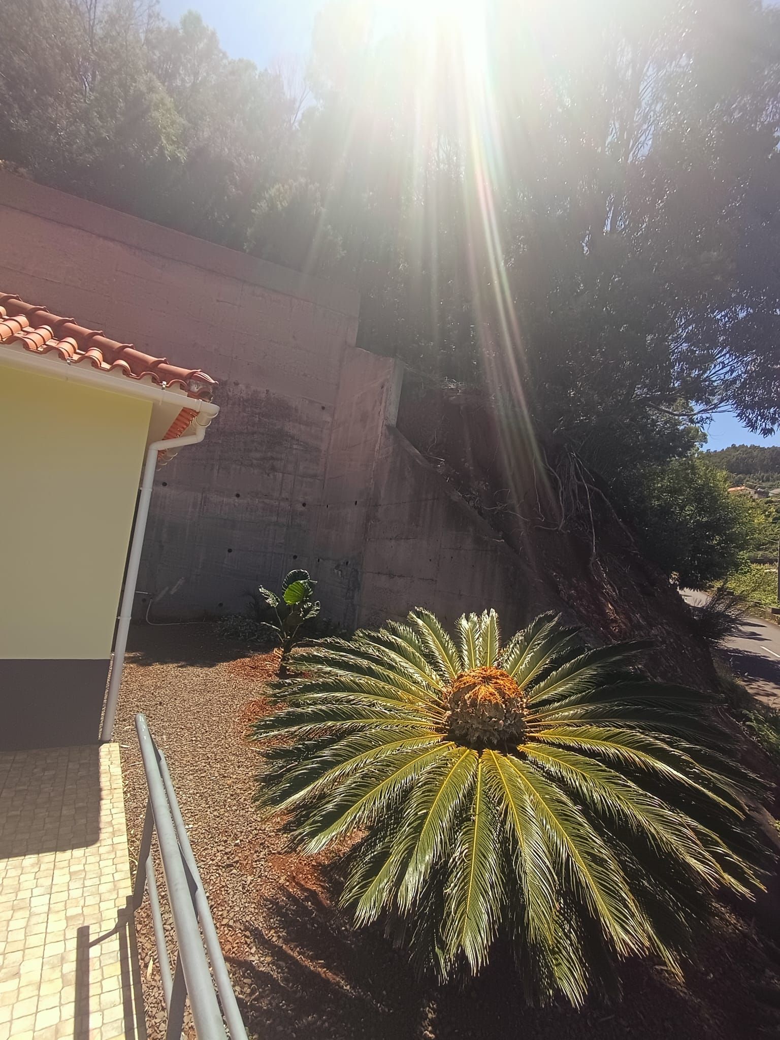 Un edificio con techo de tejas rojas, pared de concreto y una palmera en primer plano.