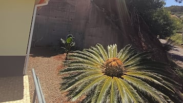 Un edificio con techo de tejas rojas, pared de concreto y una palmera en primer plano.