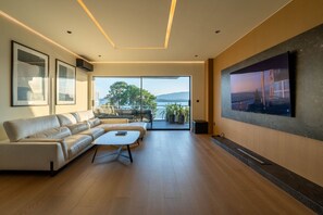 Smart TV, fireplace, stereo, computer monitors