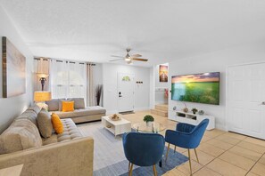 Smart TV, fireplace, books